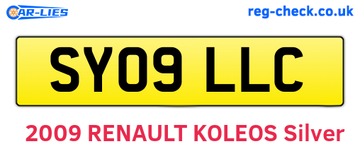 SY09LLC are the vehicle registration plates.