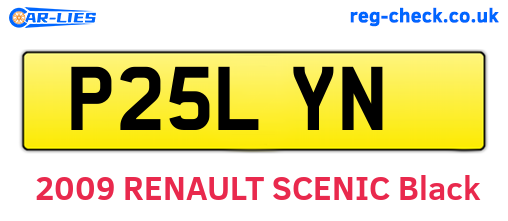 P25LYN are the vehicle registration plates.