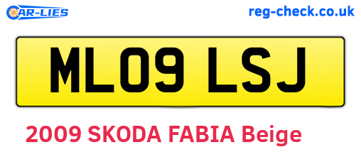 ML09LSJ are the vehicle registration plates.