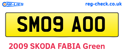 SM09AOO are the vehicle registration plates.