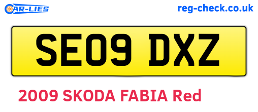 SE09DXZ are the vehicle registration plates.