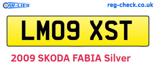 LM09XST are the vehicle registration plates.