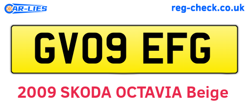 GV09EFG are the vehicle registration plates.