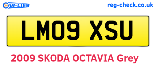 LM09XSU are the vehicle registration plates.