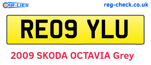 RE09YLU are the vehicle registration plates.