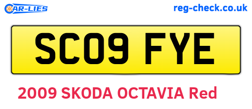 SC09FYE are the vehicle registration plates.