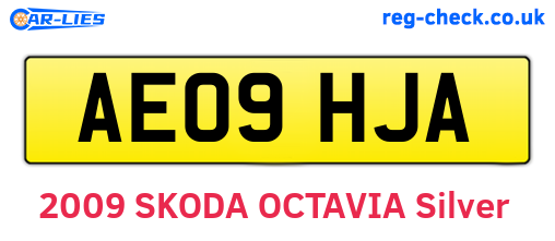 AE09HJA are the vehicle registration plates.