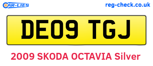 DE09TGJ are the vehicle registration plates.
