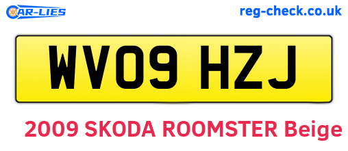 WV09HZJ are the vehicle registration plates.