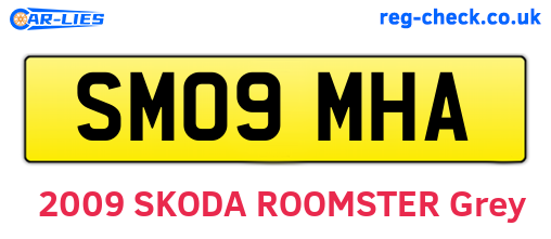 SM09MHA are the vehicle registration plates.