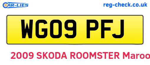 WG09PFJ are the vehicle registration plates.