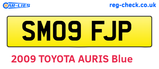 SM09FJP are the vehicle registration plates.