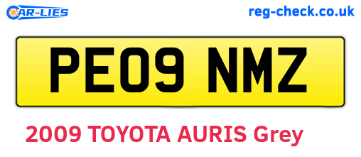 PE09NMZ are the vehicle registration plates.