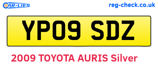 YP09SDZ are the vehicle registration plates.