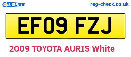 EF09FZJ are the vehicle registration plates.
