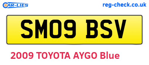SM09BSV are the vehicle registration plates.