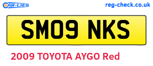 SM09NKS are the vehicle registration plates.