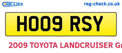 HO09RSY are the vehicle registration plates.