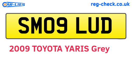SM09LUD are the vehicle registration plates.