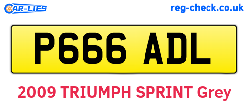 P666ADL are the vehicle registration plates.
