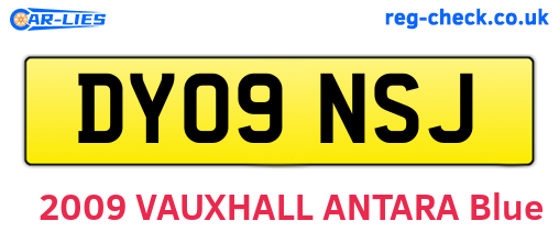 DY09NSJ are the vehicle registration plates.