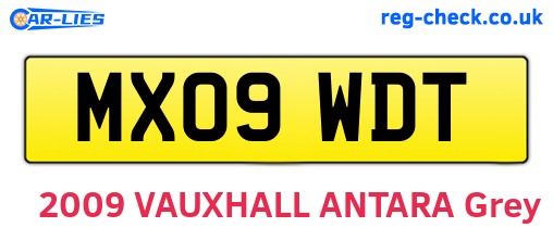 MX09WDT are the vehicle registration plates.