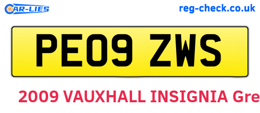 PE09ZWS are the vehicle registration plates.