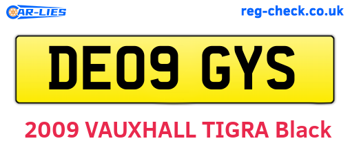 DE09GYS are the vehicle registration plates.