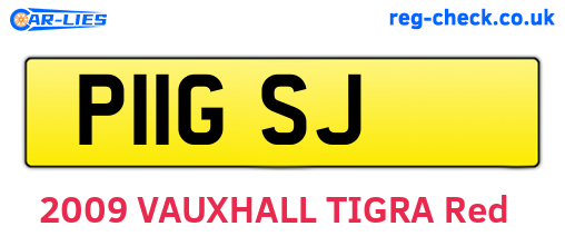 P11GSJ are the vehicle registration plates.