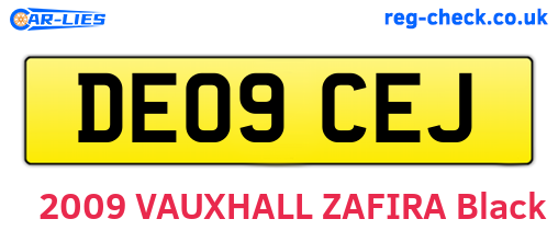 DE09CEJ are the vehicle registration plates.