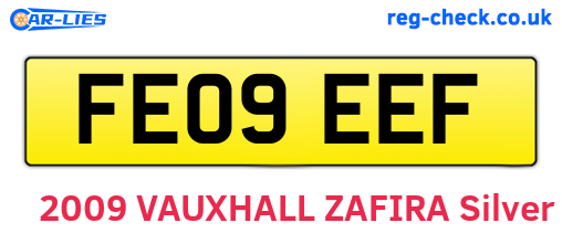 FE09EEF are the vehicle registration plates.