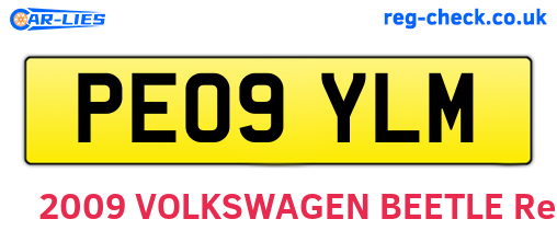 PE09YLM are the vehicle registration plates.