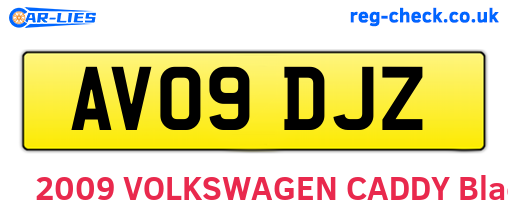 AV09DJZ are the vehicle registration plates.
