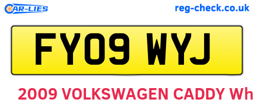 FY09WYJ are the vehicle registration plates.