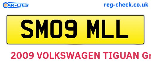 SM09MLL are the vehicle registration plates.