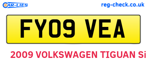 FY09VEA are the vehicle registration plates.