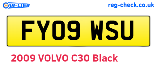FY09WSU are the vehicle registration plates.