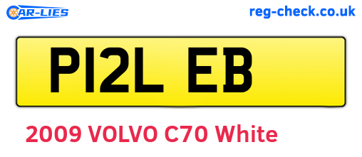 P12LEB are the vehicle registration plates.