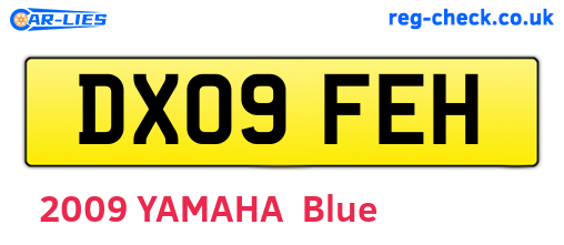 DX09FEH are the vehicle registration plates.