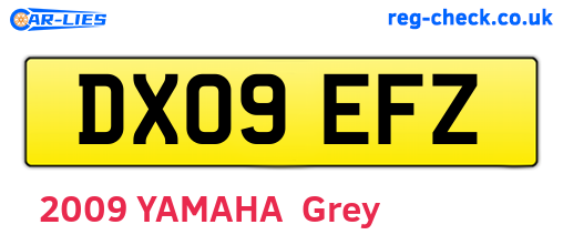 DX09EFZ are the vehicle registration plates.