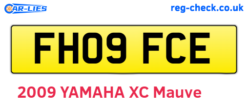 FH09FCE are the vehicle registration plates.