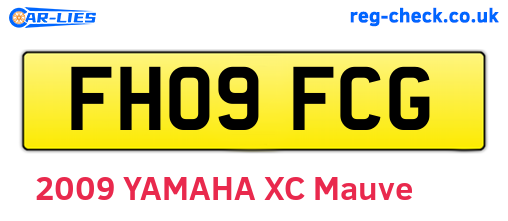 FH09FCG are the vehicle registration plates.