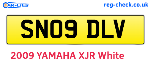 SN09DLV are the vehicle registration plates.