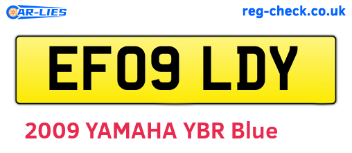 EF09LDY are the vehicle registration plates.