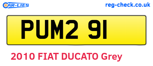 PUM291 are the vehicle registration plates.