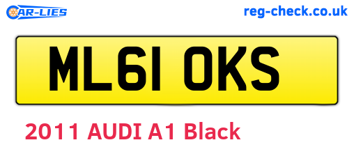 ML61OKS are the vehicle registration plates.