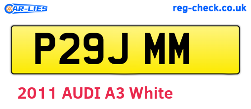 P29JMM are the vehicle registration plates.