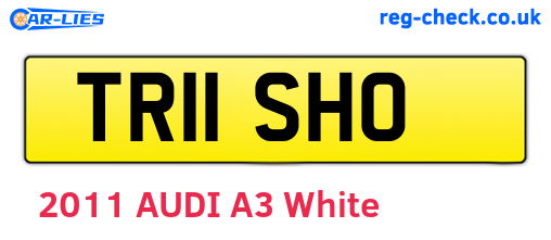 TR11SHO are the vehicle registration plates.
