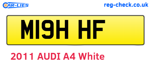 M19HHF are the vehicle registration plates.