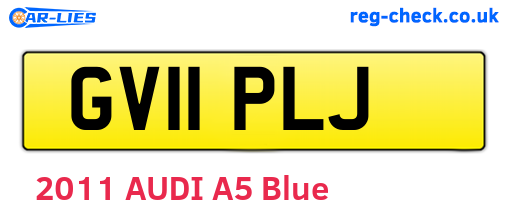 GV11PLJ are the vehicle registration plates.